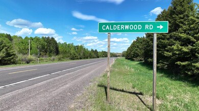 853 Calderwood Lot B Rd, Trout Creek, MI 49967 - photo 7