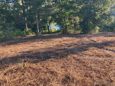 Lot 2 Sunshine Rd, Andalusia, AL 36421 - photo 5