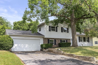 8-web-or-mls-DSC02786