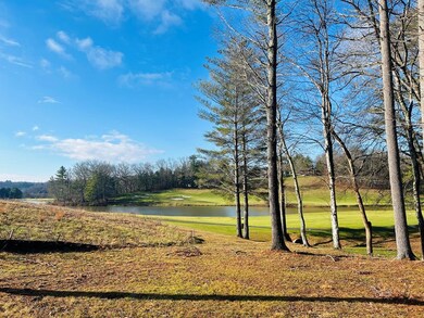 TBD Manor House Dr, Laurel Fork, VA 24352 - photo 5