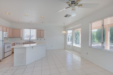 14223 W DUSTY TRAIL BLVD Sun City West