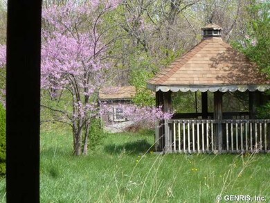 Yard/Garden