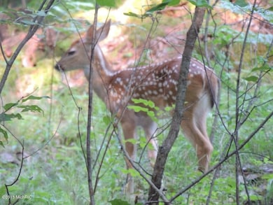 no # 14 Mile Rd, Bitely, MI 49309 - photo 5