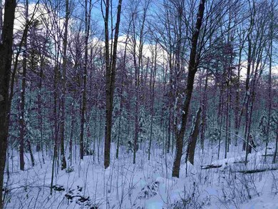 Lot 5 Monroe Rd, Littleton, NH 03561 - photo 4