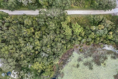 0 Giddens Rd unit MFRTB8424460, Spring Hill, FL 34610 - photo 6