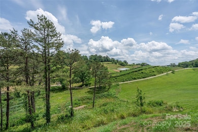 233 Westridge Farm Rd unit 23, Woodfin, NC 28804 - photo 4