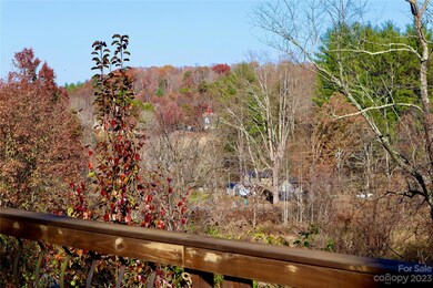 1011 Clark Branch Rd, Asheville, NC 28806 - photo 2