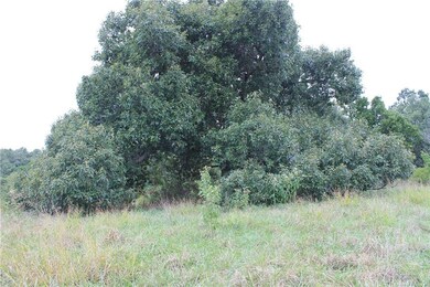 14136 Savoy Rd, Fayetteville, AR 72704 - photo 7