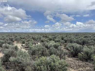 0 Kna Lost Forest Ln unit 4700, Christmasvalley, OR 97641 - photo 5