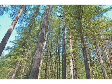 30703 NE Olson Rd, Yacolt, WA 98675 - photo 7