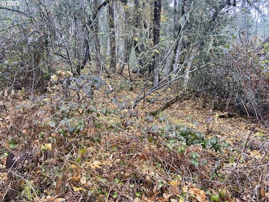 806 Sundance St, Eugene, OR 97405 - photo 7