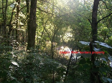 1407 Hoophole Rd, Lawrenceburg, KY 40342 - photo 2