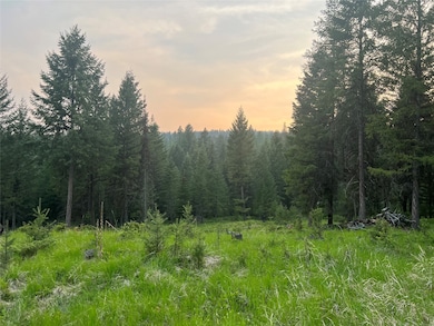 4736 Sinclair Creek Rd, Eureka, MT 59917 - photo 2