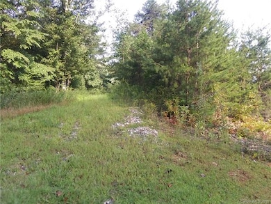 5 Mountain Holly Dr unit 57, Leicester, NC 28748 - photo 3