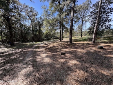 104 Matthew Johnson Rd, Wiggins, MS 39577 - photo 7