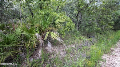 4235 Oak Forest Ln, Keystone Heights, FL 32656 - photo 2