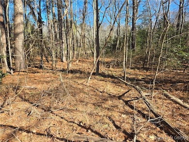 View of local wilderness