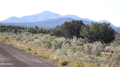 10955 Howard Mesa Loop, Williams, AZ 86046 - photo 5