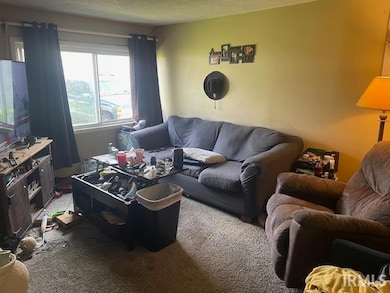 1623 N Janney Ave, Muncie, IN 47304 - photo 4