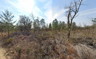 Fort McCoy, Fort McCoy, FL 32134 - photo 3