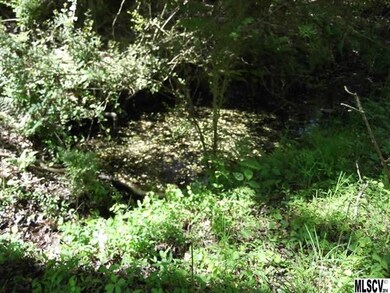 6630 Sain Milling Rd, Vale, NC 28168 - photo 7