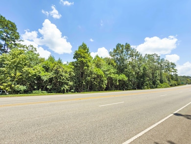 Tbd Hwy 69 N, Woodville, TX 75979 - photo 6