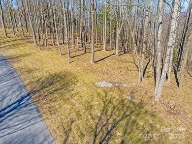 000-16 E Garden Trail unit 16, Hendersonville, NC 28792 - photo 2