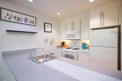 Waterworks Museum Condominiums unit 111, Chestnut Hill, MA 02467 - photo 5