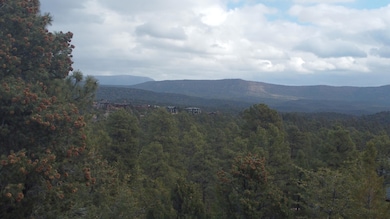 DJI_0010