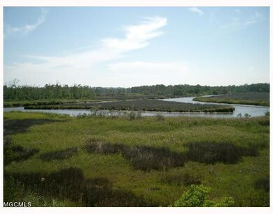bayou view from Pickering Forest