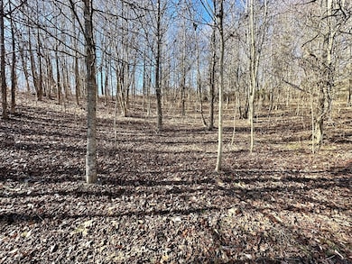 0 Shady Creek Ln, Byrdstown, TN 38549 - photo 5