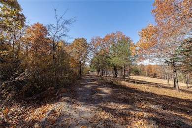 14416 Truelove Rd, West Fork, AR 72774 - photo 4