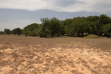 122 Rommel Ct, Springtown, TX 76082 - photo 4