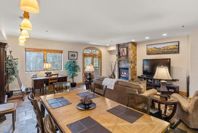 135 San Joaquin Rd unit 213, Telluride, CO 81435 - photo 5