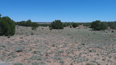 0 Rio Ranch, Concho, AZ 85924 - photo 5