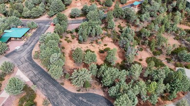 1061 Fox Hat Trail, Pine, AZ 85544 - photo 5
