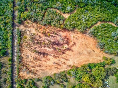 Majority of land has been cleared - from here you can see the beautiful walking trails on your very own property!