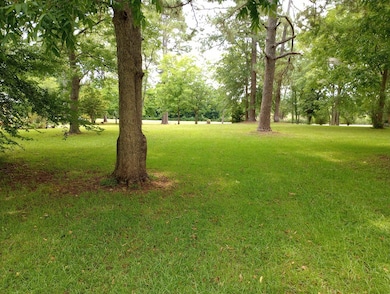 219 Lockett Station Rd, Albany, GA 31721 - photo 3