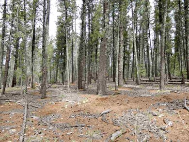 26 Pinos Verdes, Cloudcroft, NM 88317 - photo 7