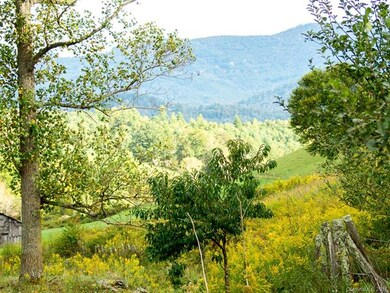 1641 Lickskillet Rd, Burnsville, NC 28714 - photo 6