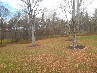 Great back yard with a lot of privacy.