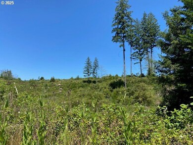 15996 Nonpareil Rd, Sutherlin, OR 97479 - photo 5