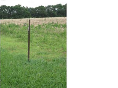Property Line stake on the south west corner of ac