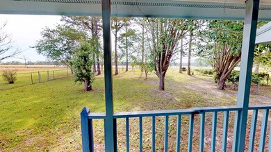 Large yard