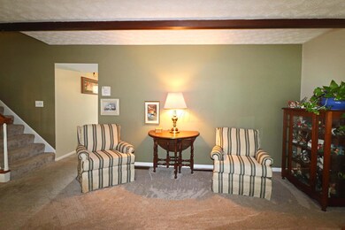 Plush carpet
