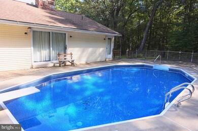 8328 U S 209, Williamstown, PA 17098 - photo 6