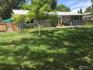 Beautiful Back Yard