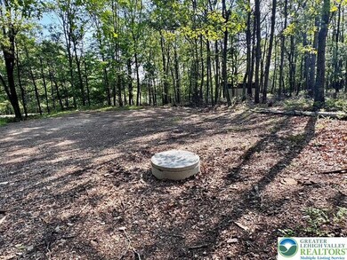 5 Foothill Blvd, Chestnuthill Township, PA 18330 - photo 4