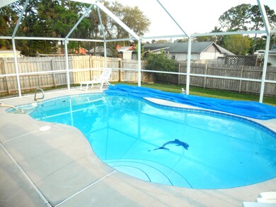 Large Backyard with Pool