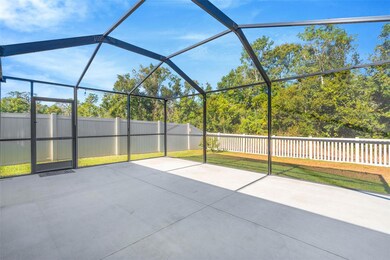 16631 Windmill Forge Pass, Wimauma, FL 33598 - photo 4